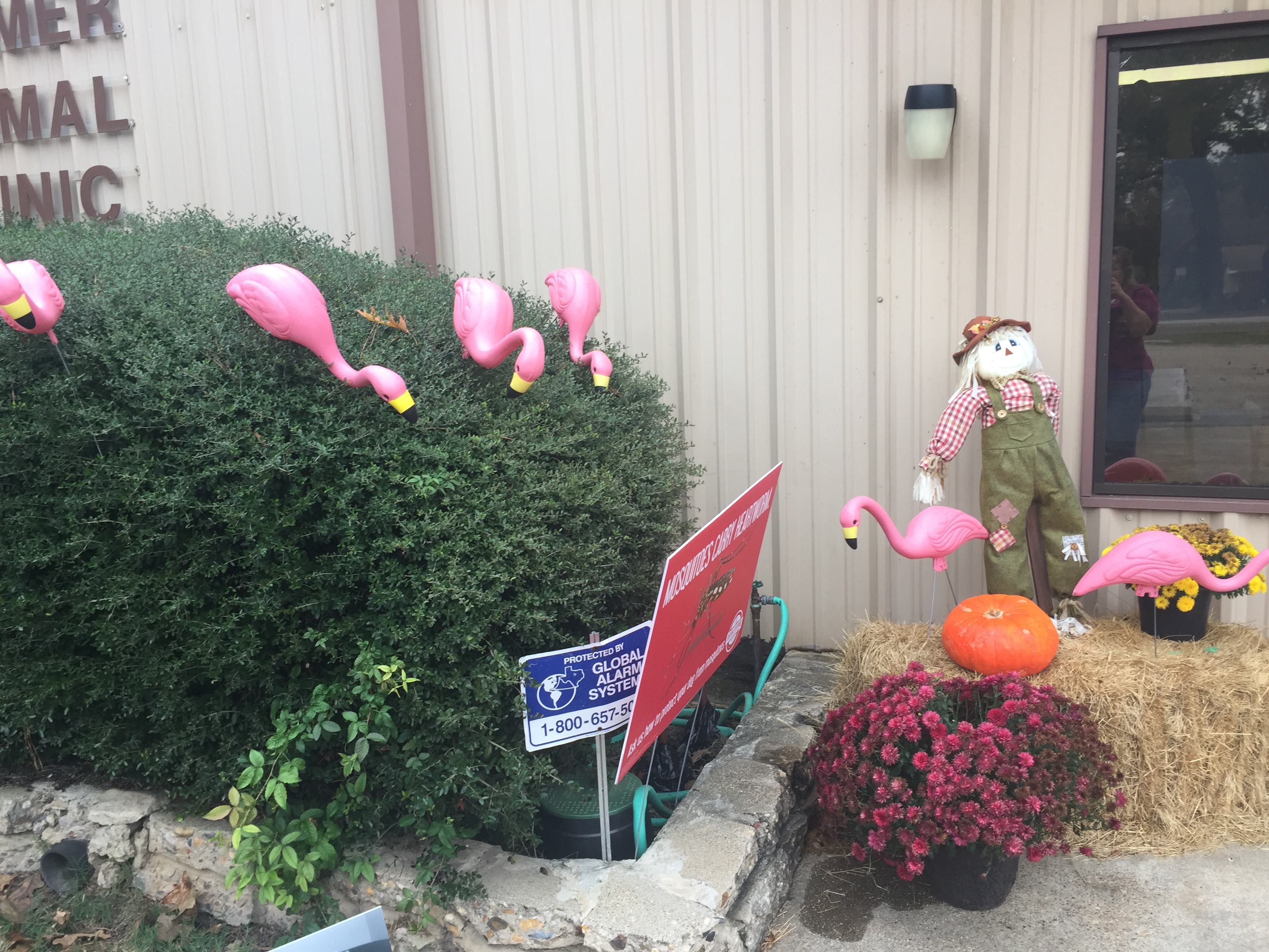 Flocked 